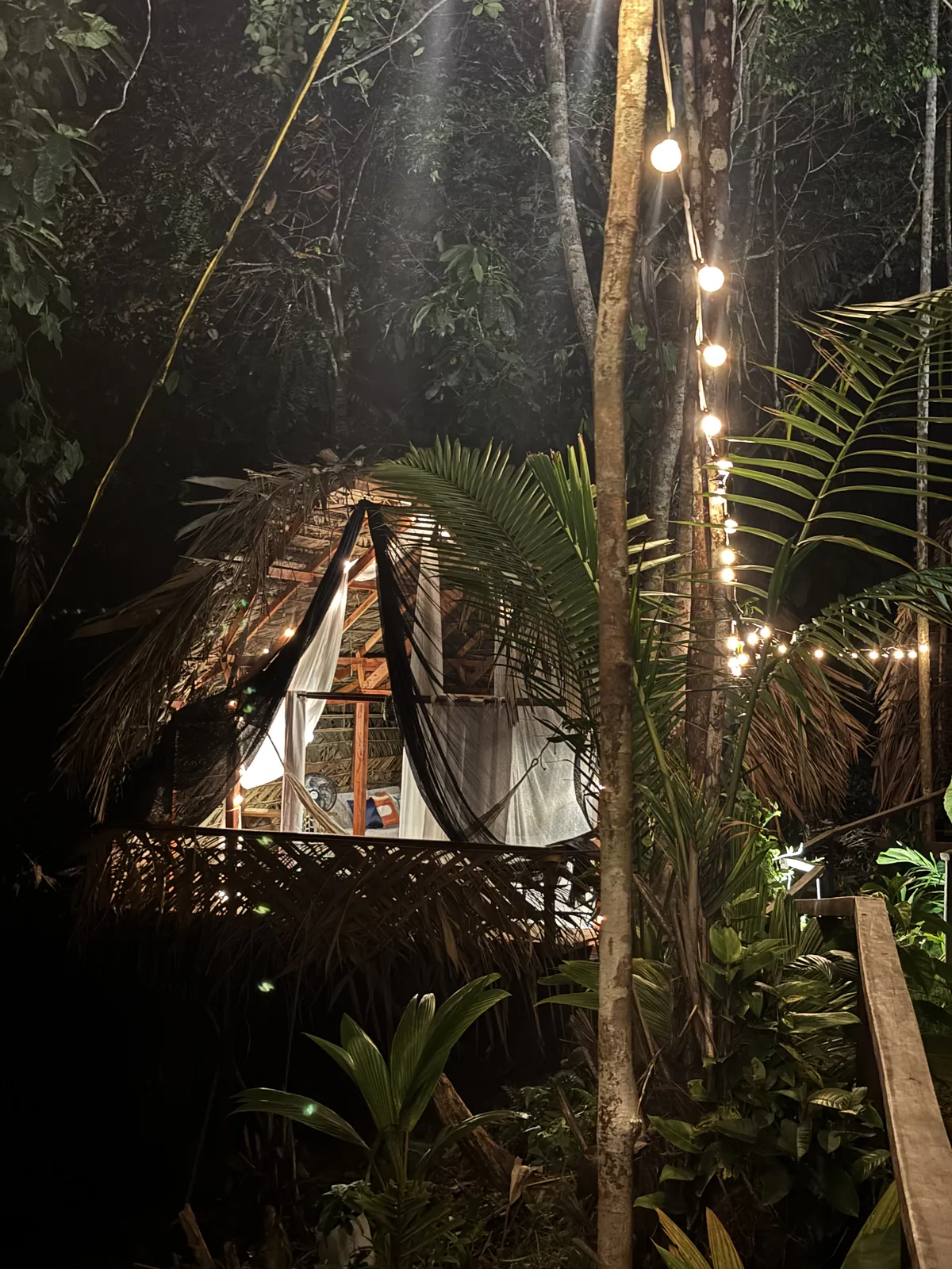 Glamping de LUX iluminado de noche entre la selva
