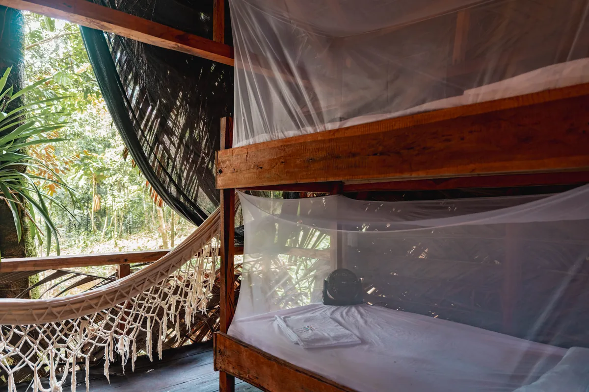 Hamaca y litera con mosquitero junto a la selva en el Glamping Clan y Manada