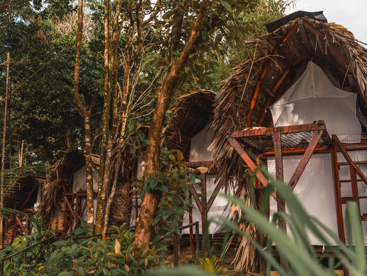 Cabañas Mini Nativos con techo de palma entre la selva