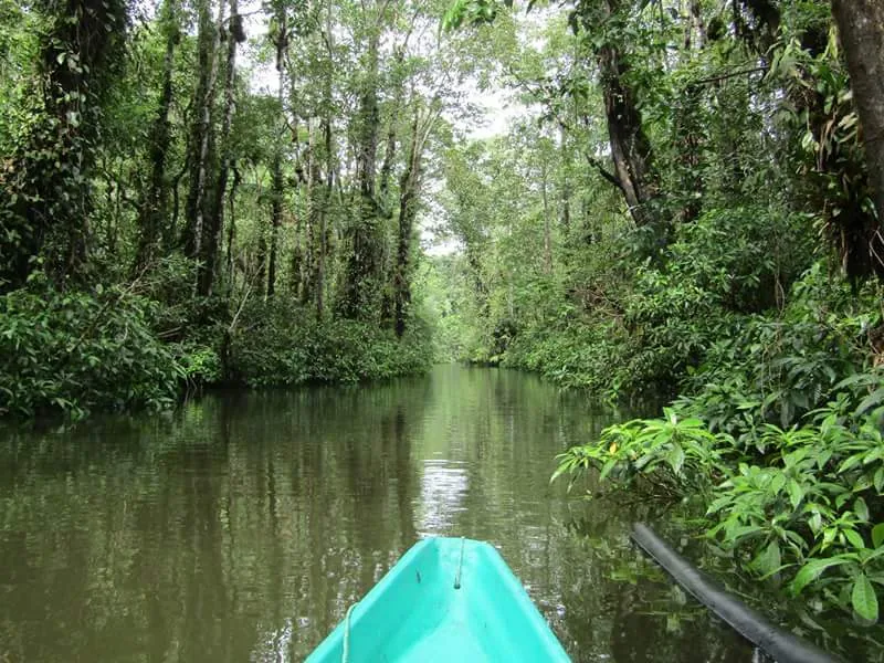 Recorrido en canoa por los manglares del Pacífico cerca de La Barra