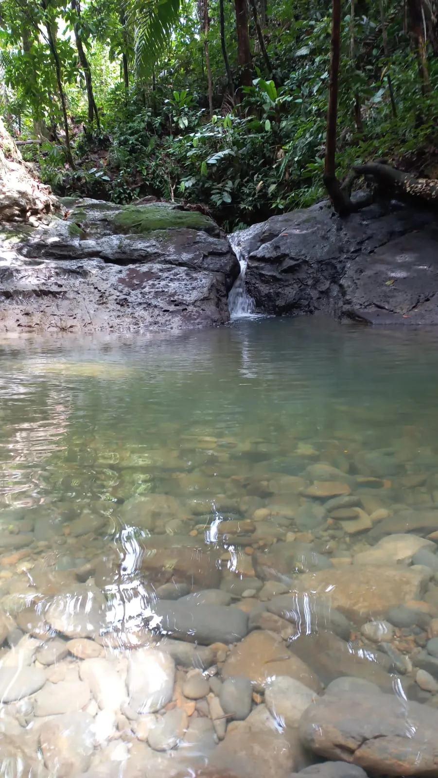Piscina natural de agua cristalina rodeada de selva cerca de La Barra