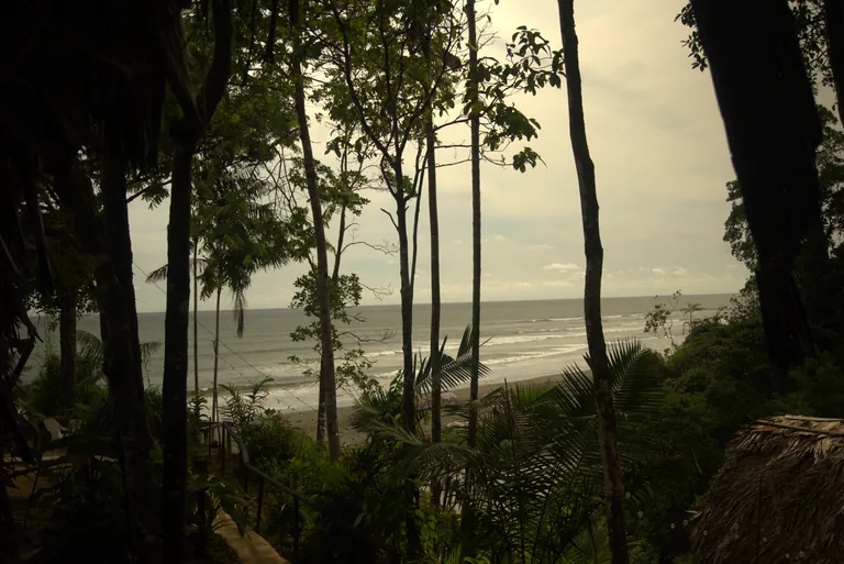 Refugio de Nativo entre selva con el mar al fondo